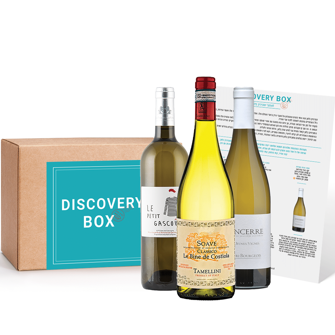 דיסקברי בוקס לאוהבי סוביניון בלאן